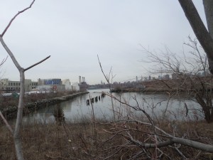 The Bushwick Inlet, which would be the full park centerpiece. Not hard to imagine how awesome this would be.
