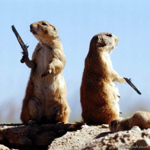 A different kind of duel, though maybe you could bet on it if knowledge of prairie dogs was a "skill."